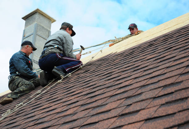 Best Shingle Roofing Installation  in Inverness Highlands South, FL